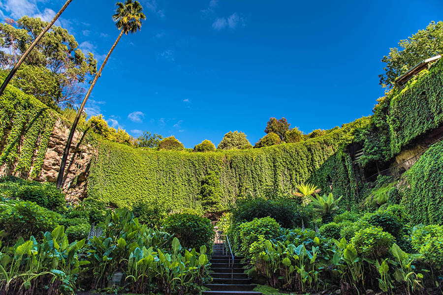 Visit the Umpherston sinkhole along the Great Ocean Road | Travel Nation