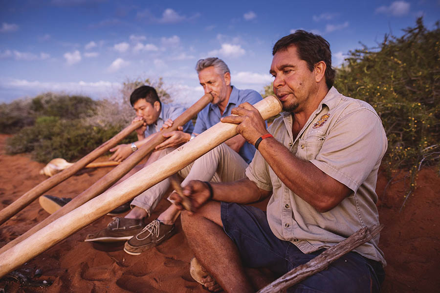 Drive north to Monkey Mia and Shark's Bay | Photo credit: Tourism Western Australia