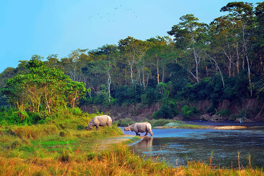 We were lucky enough to spot several rhinos