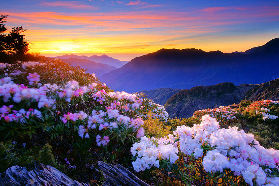 Get up early for a gorgeous sunrise in Taroko National Park, Taiwan | Travel Nation