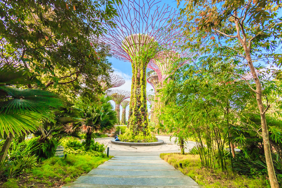 Supertrees, Gardens by the Bay, Singapore