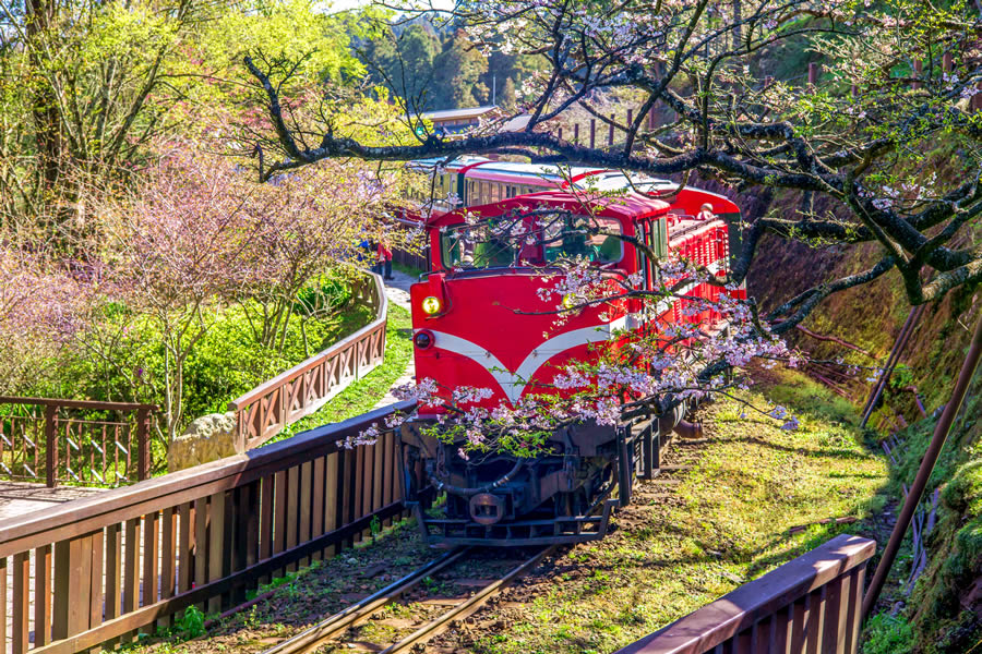 Take the mountain train to Alishan