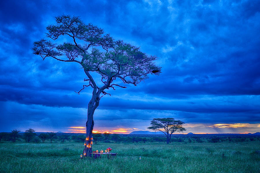 Dinner under the stars at Pumzika Camps | Travel Nation