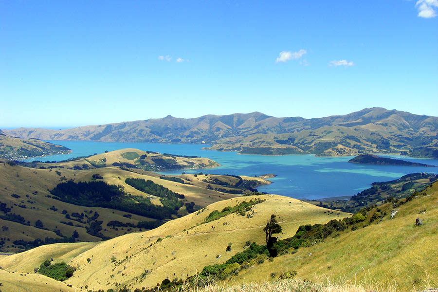 AKAROA HALBINSEL 