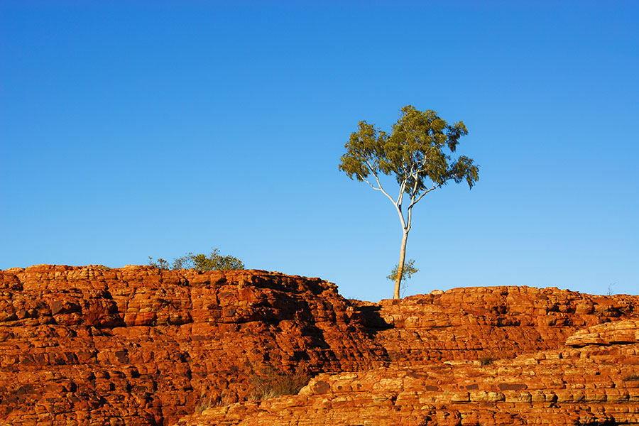 Australien Kings Canyon 