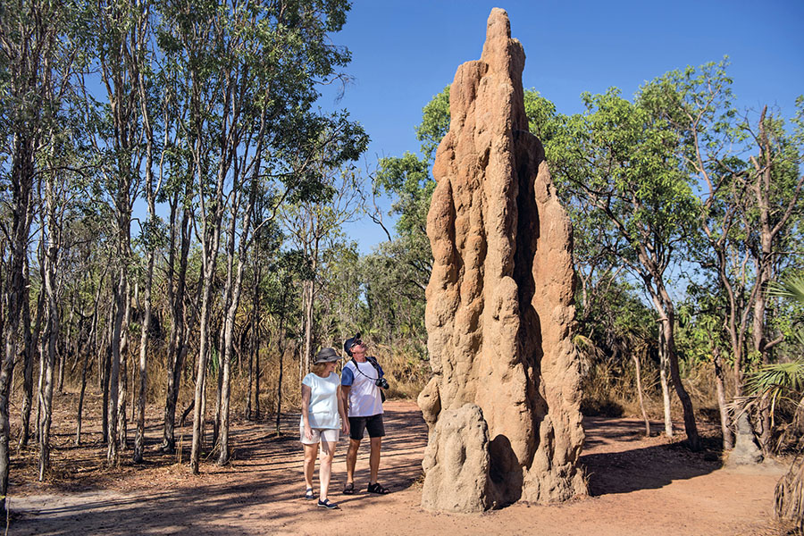 Wander around giant termite mounds in Litchfield National Park | image credit: Tourism NT