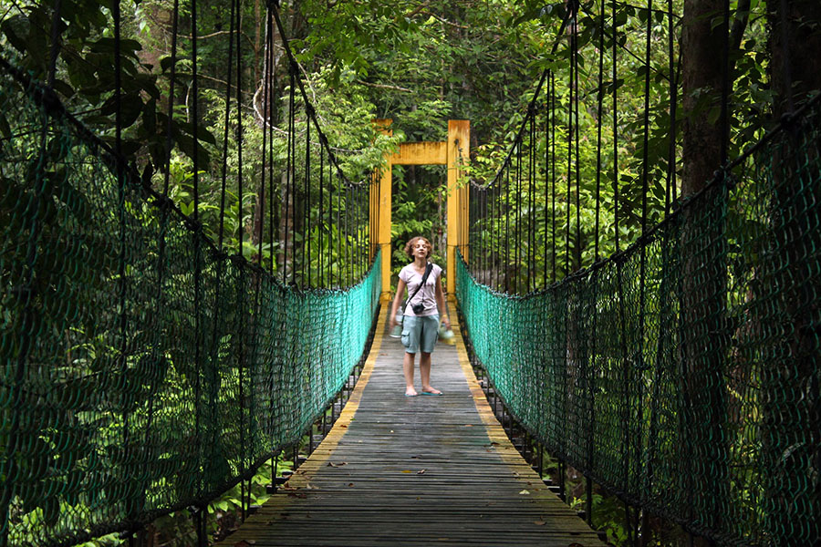 Bako National Park, Bornéo