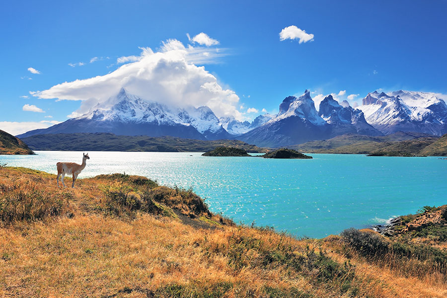 Trek through Chile's spectacular Torres del Paine national park