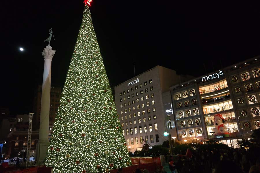 Weihnachtsbaum 