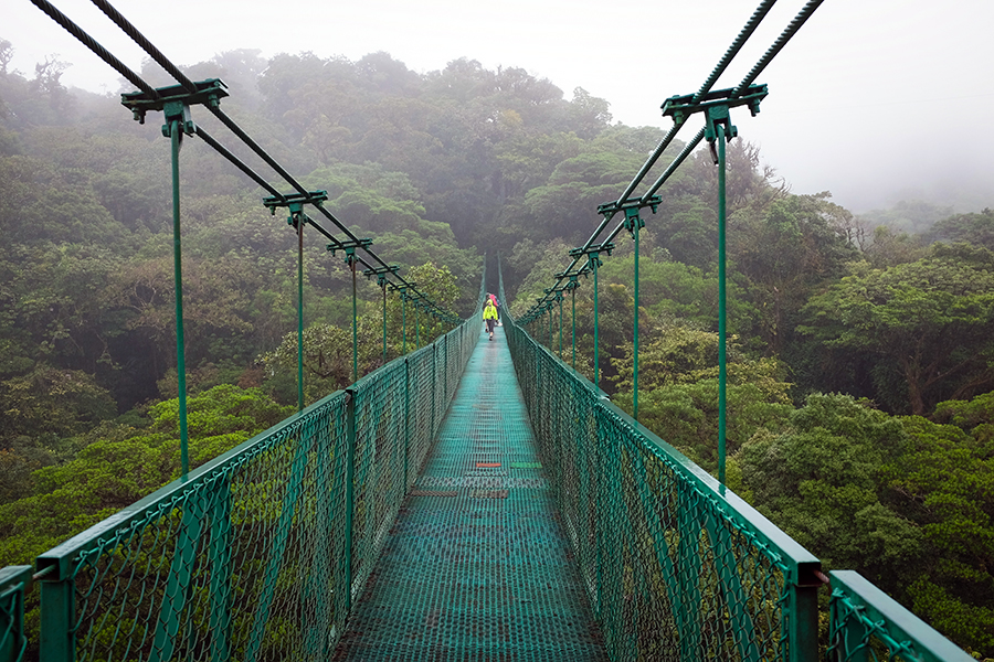 Monteverde cloud forest, Costa Rica