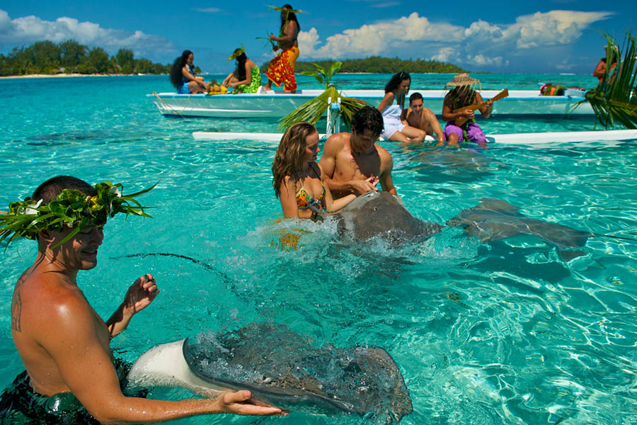 Many lagoon tours (“safaris”) include the opportunity to stop and feed Manta Rays