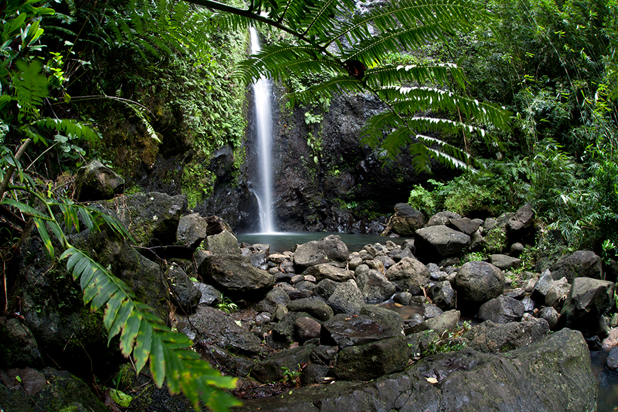 There are numerous waterfalls all over this region