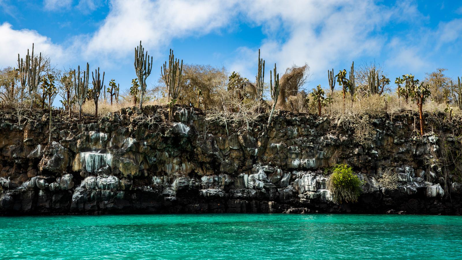 image_galpagosadventuresnorkellingsealions