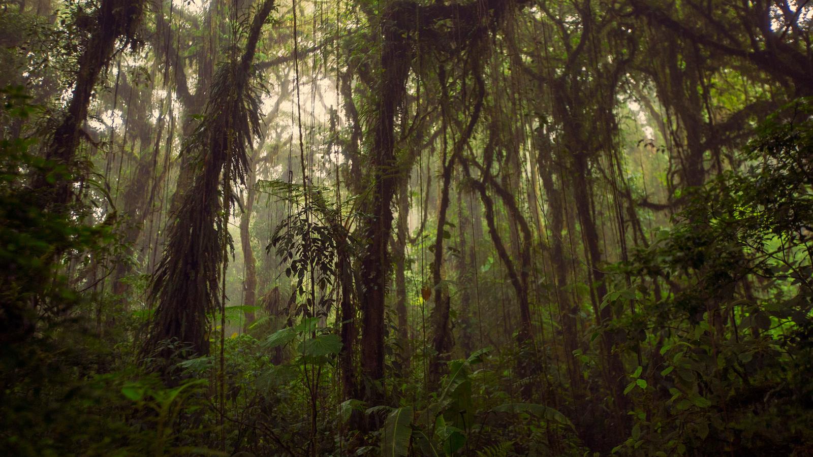 image_journeyshighlightsofcostarica