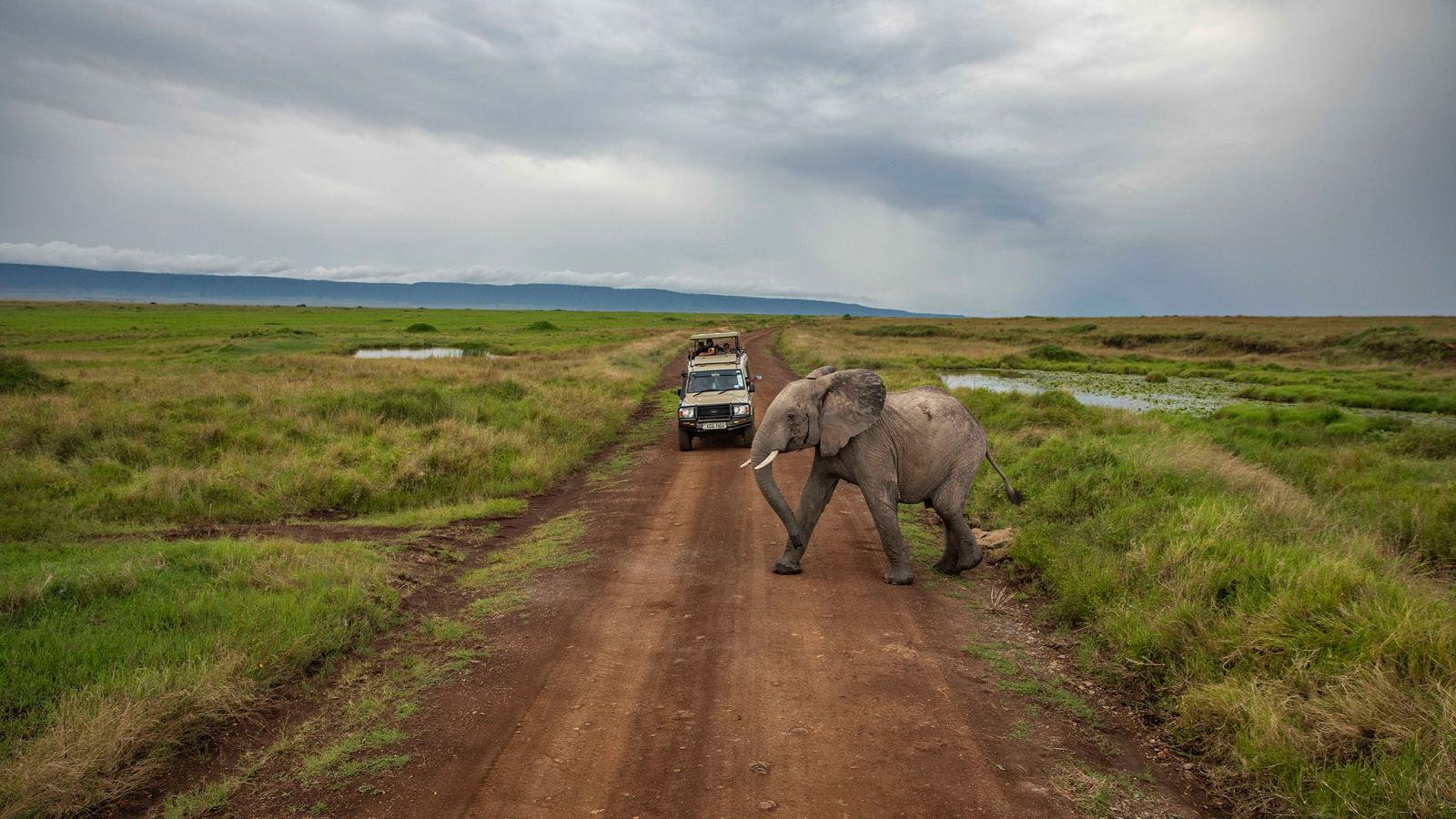 image_kenyatozimbabweoverlandsafari