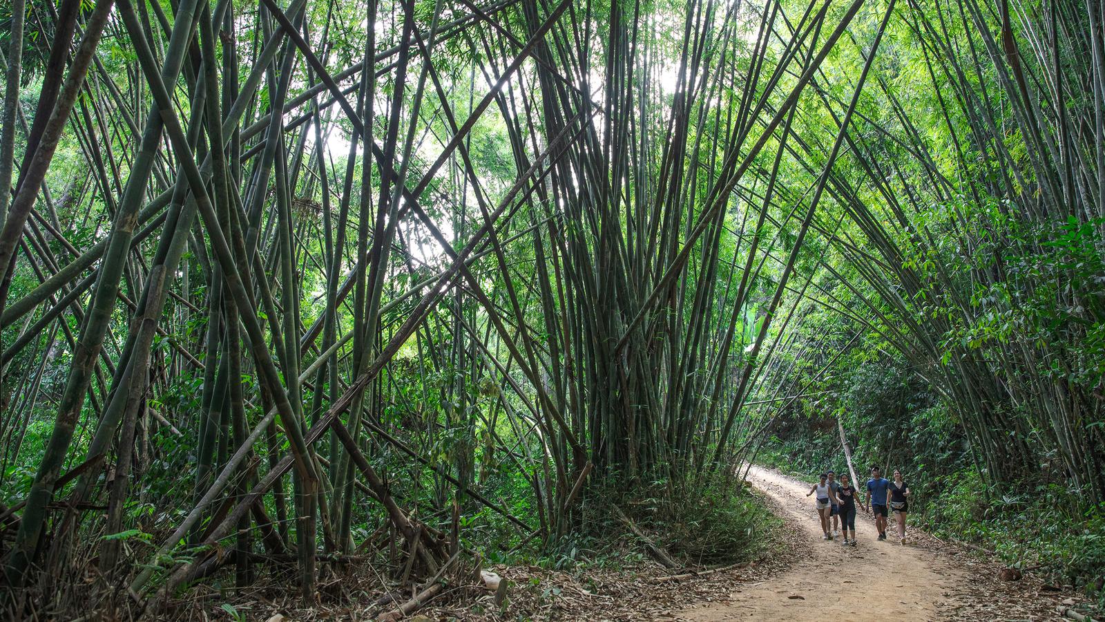 image_laostonorthernthailandtrekstrails