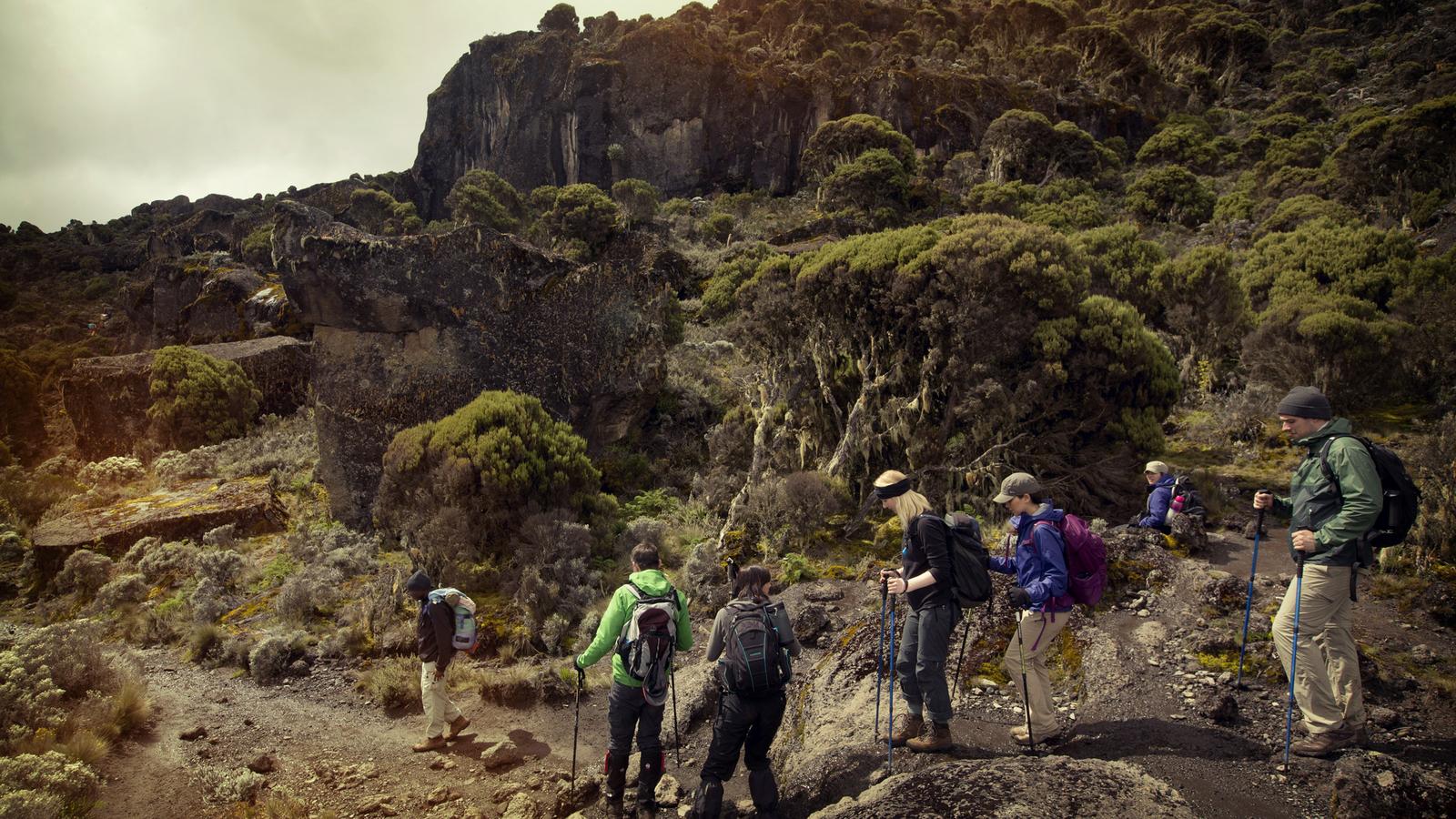 image_mtkilimanjarotrek-machameroute8days