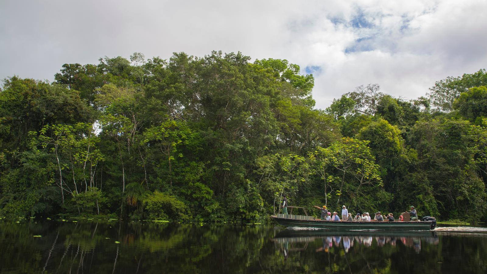 image_perutheamazoncuscotolima