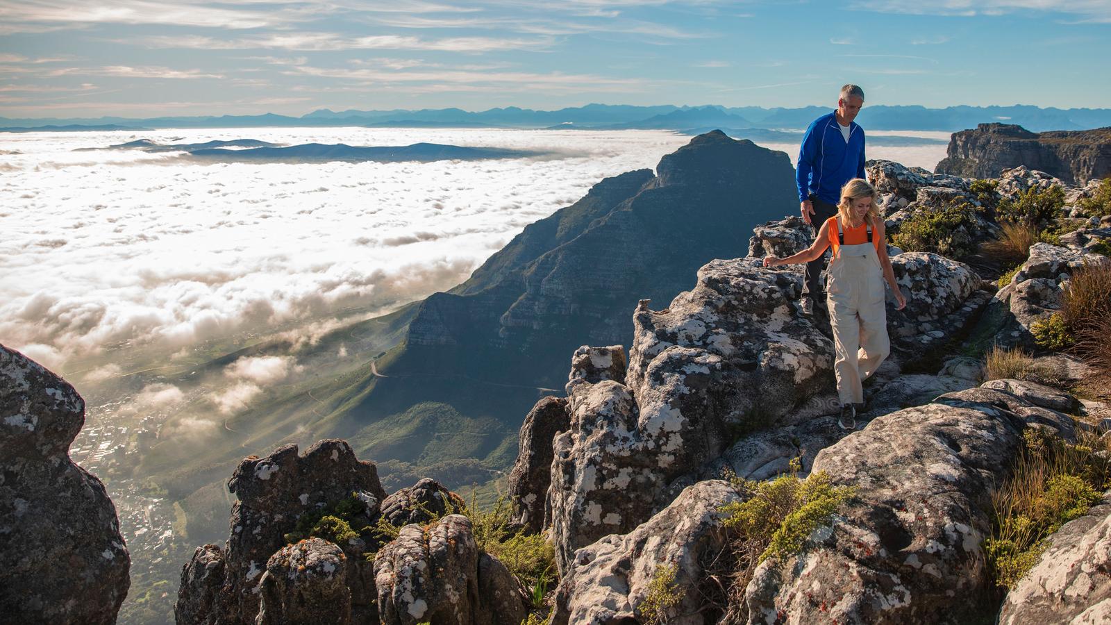 image_southafricakrugerwildlifetrackingvineyards