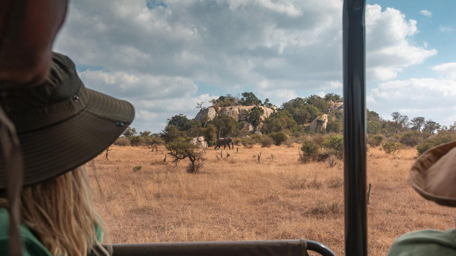 image_southernafricanationalparksofzimbabwekrugerwildlifetracking