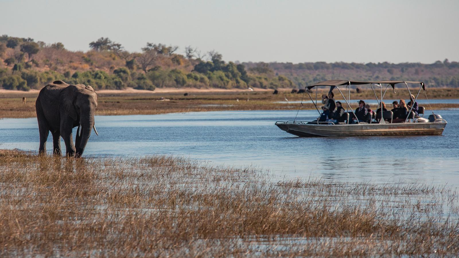 image_zimbabwebotswanachobehwangelakekariba