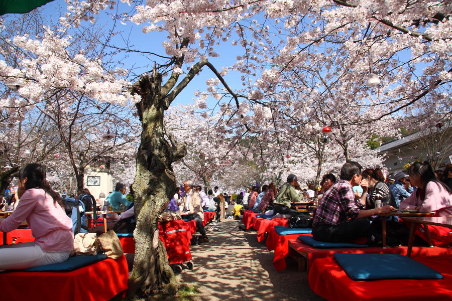 Marayuma Park, Kyoto, Japan