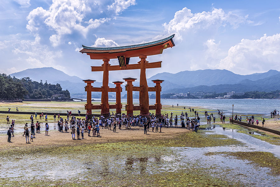 Walk up to the floating torii gate at low tide