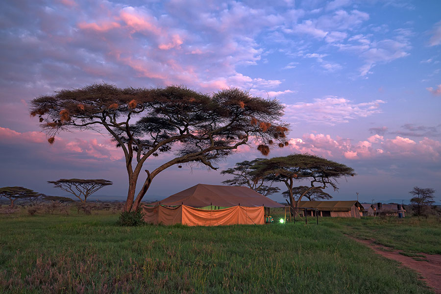 Camp under the stars