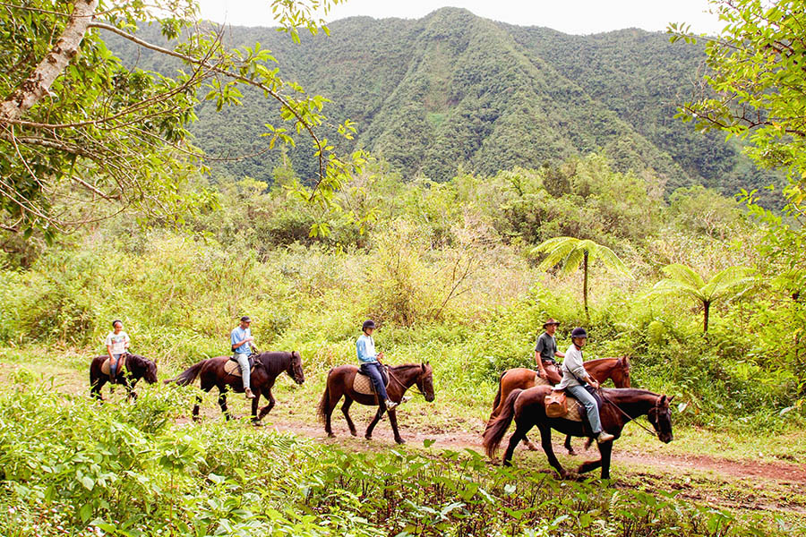 One of my favourite activities is a 1 hour horse ride in L’Etang-Salé