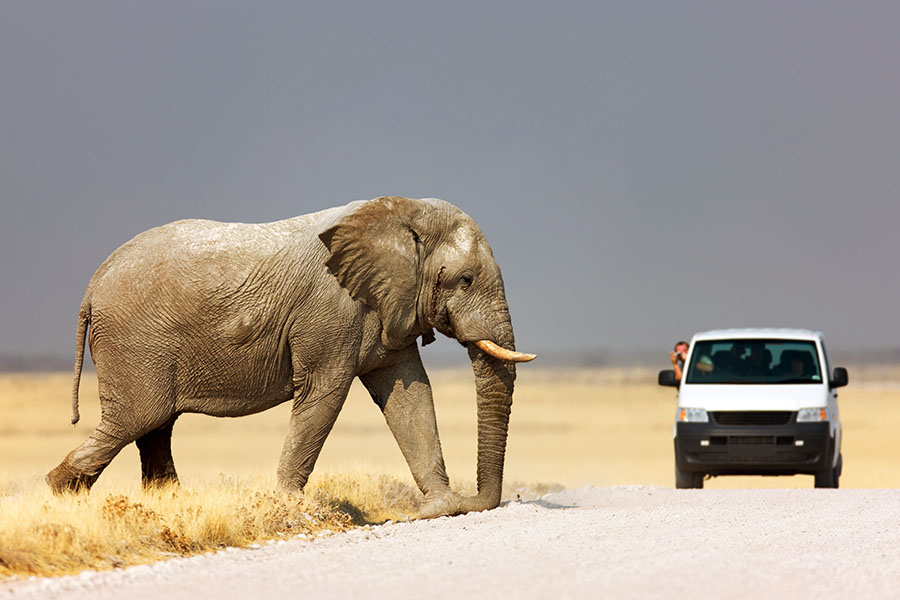 Namibia is a great place to do a self-drive trip