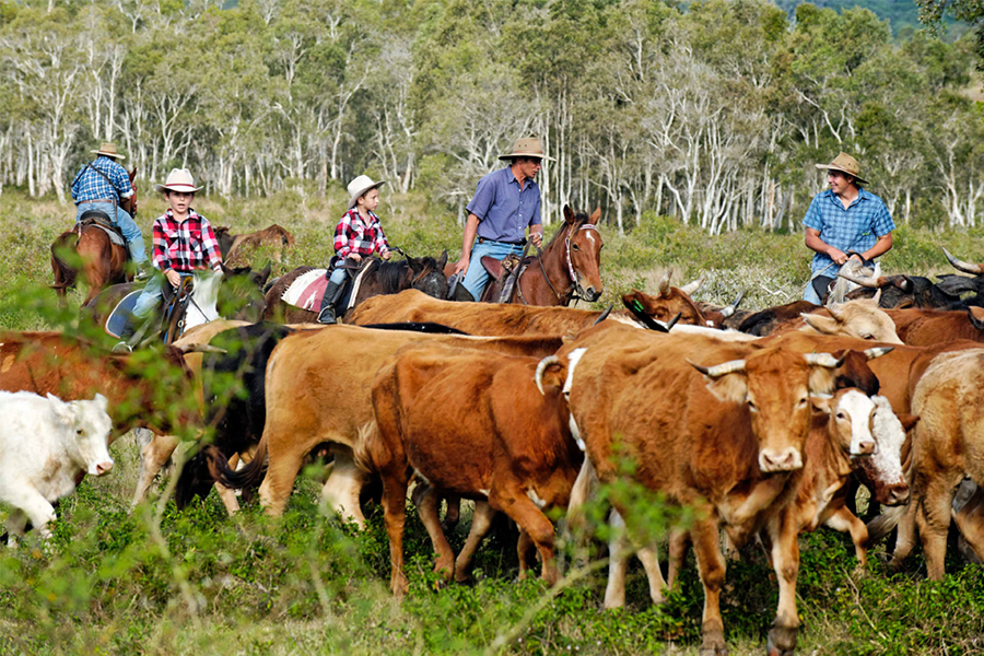 Spend time with the cattle herders 