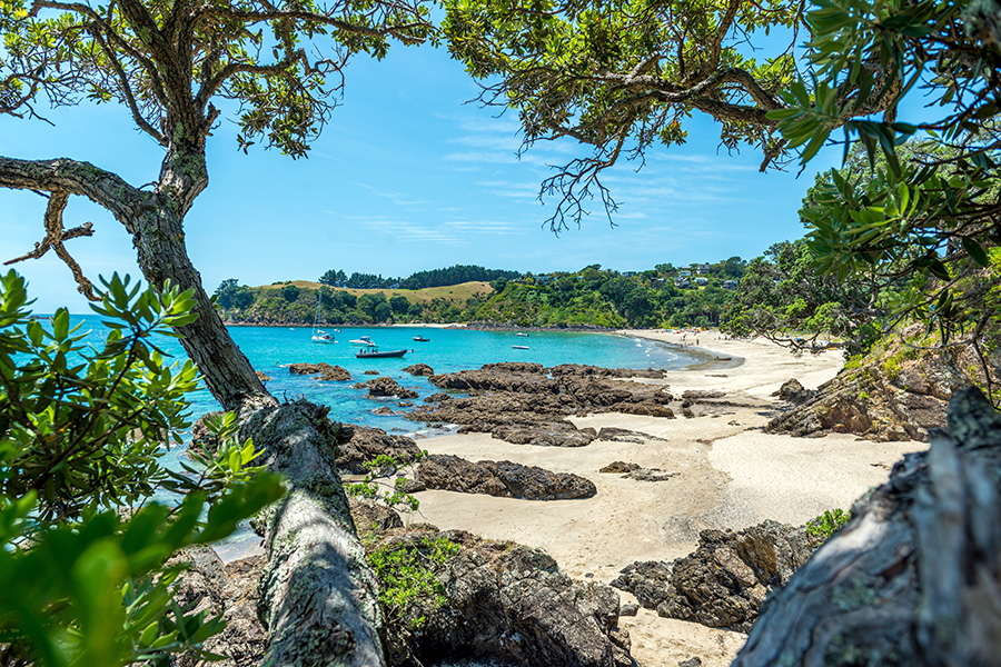 Waiheke Island, North Island, New Zealand