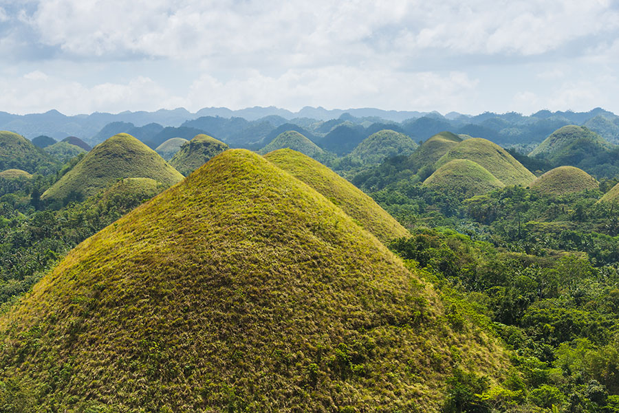 Enjoy views of the Chocolate Hills