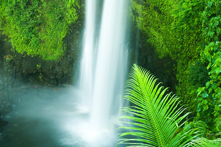 Descend into hidden valleys where waterfalls plunge into fresh water swimming holes 