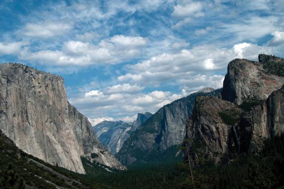 image_californianationalparkdiscovery