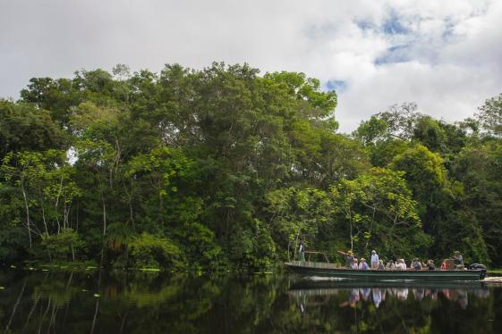 image_perutheamazoncuscotolima