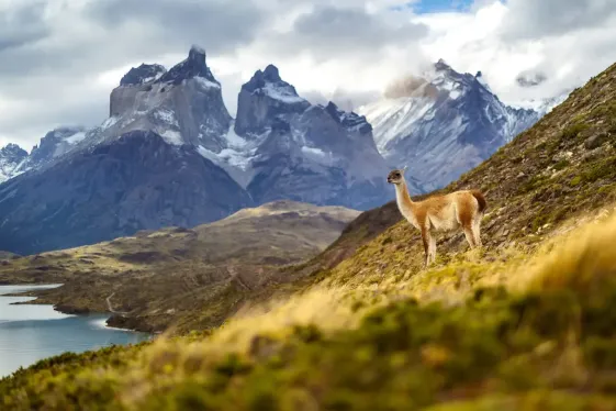 image_signatureargentinachiletheheartofpatagonia