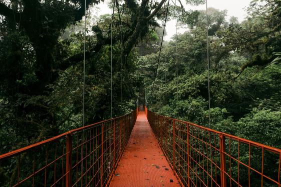 image_signaturecostaricastortugueroarenalcloudforests