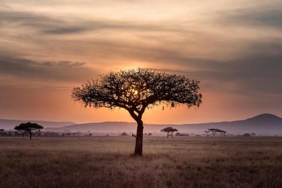 image_signaturetanzaniasserengetitarangirengorongorocrater