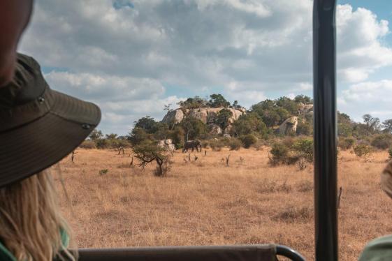 image_southernafricanationalparksofzimbabwekrugerwildlifetracking