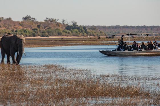 image_zimbabwebotswanachobehwangelakekariba