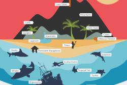 pacific-islands-infographic-teaser