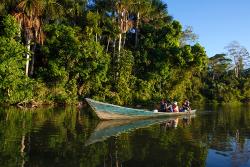 The Amazon, Puerto Maldonado, Peru