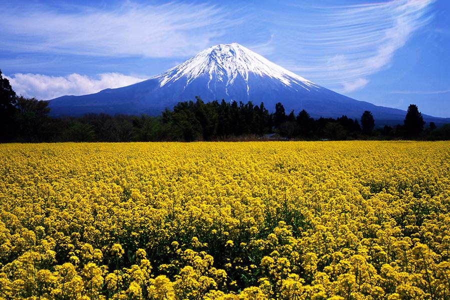 Mount Fuji, Japan | Japan Travel Guide
