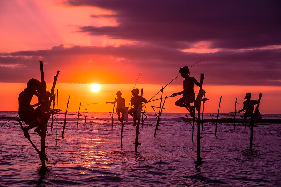 Stilt fishermen, Sri Lanka | Sri Lanka Travel Guide