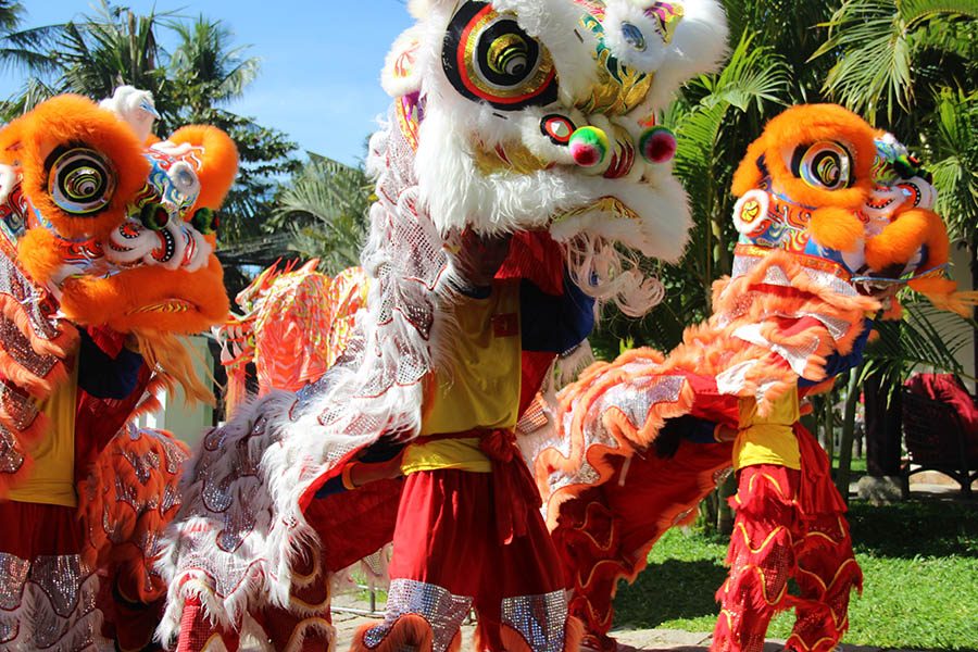 Tet Festival Vietnam Reisen