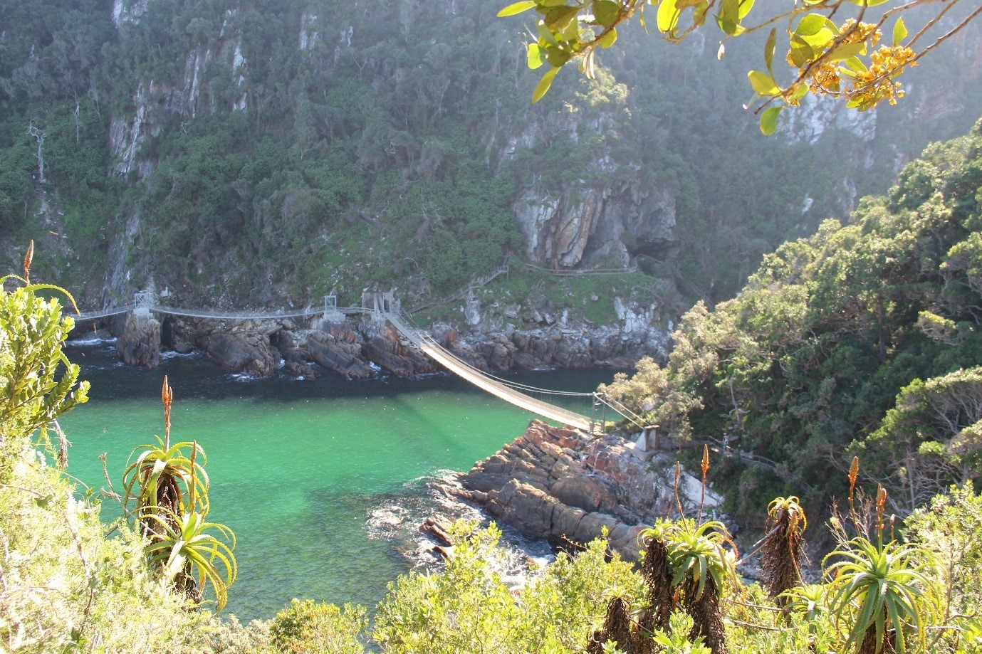 Tsitsikamma Nationalpark - Hängebrücke